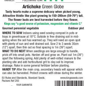 Artichoke – Green Globe