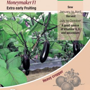 Aubergine – Money Maker F1 (Solanum melongena)