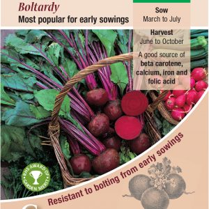 Beetroot – Boltardy