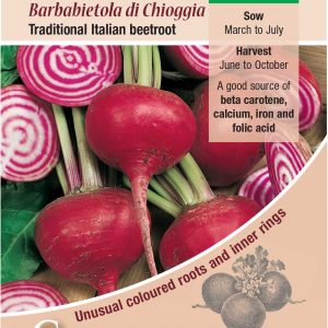 Beetroot Barbabietola di Chioggia