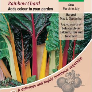 Leaf Beet Rainbow Chard – (Beta vulgaris)