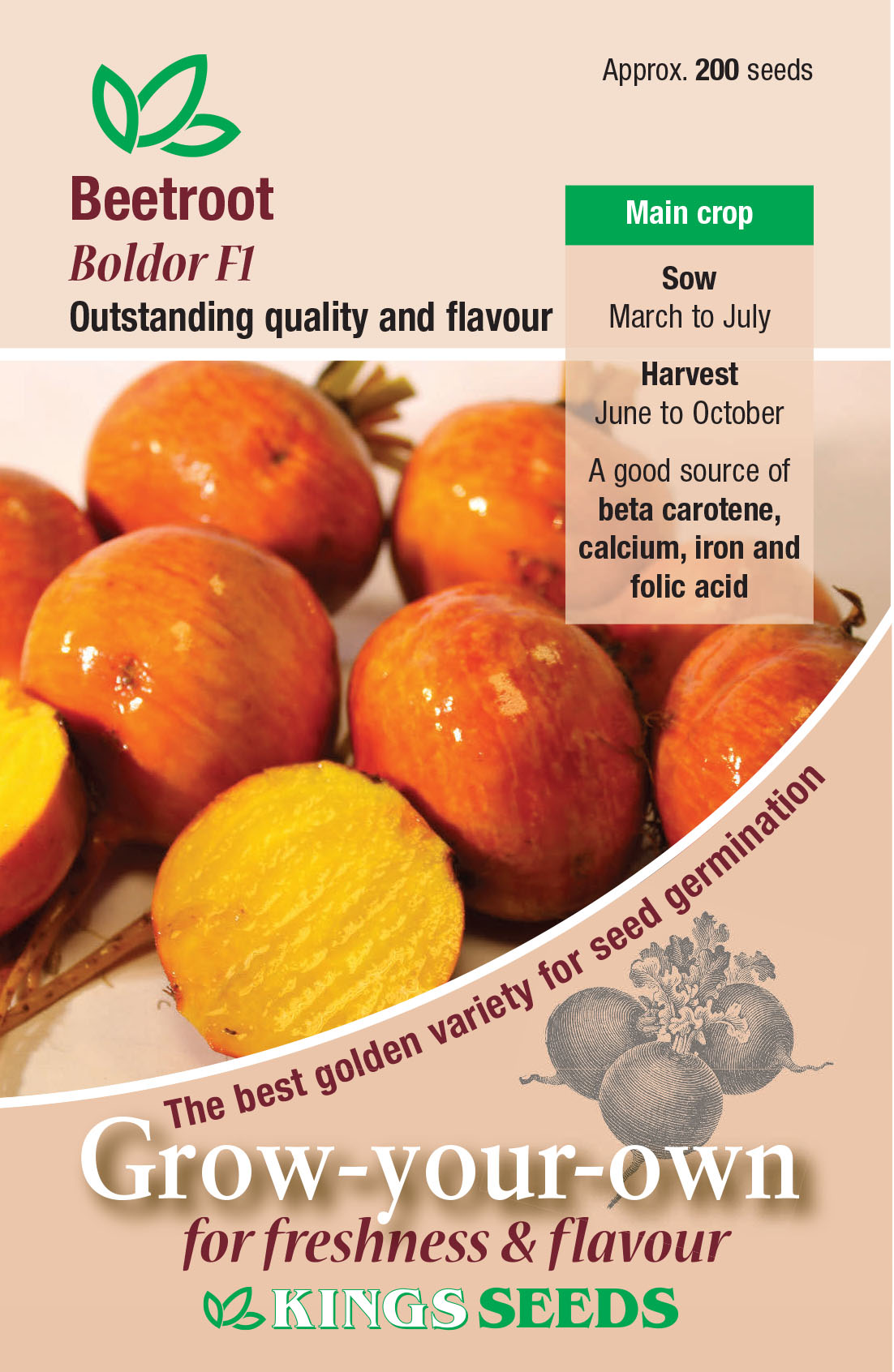 Pkt Rudbeckia Goldilocks