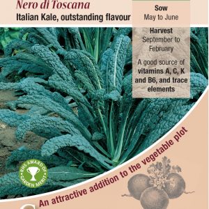 Kale – Borecole Nero Di Toscana