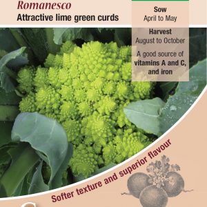 Cauliflower – Romanesco