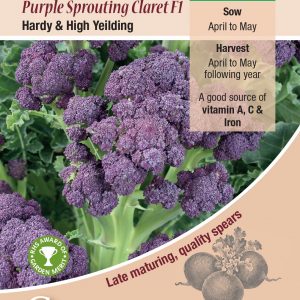 Broccoli Purple Sprouting Claret F1