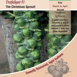 Brussels Sprout Trafalgar F1
