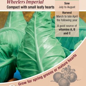 Cabbage  – Wheelers Imperial