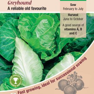 Cabbage – Greyhound