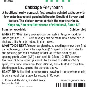 Cabbage – Greyhound