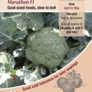 Calabrese – Marathon F1