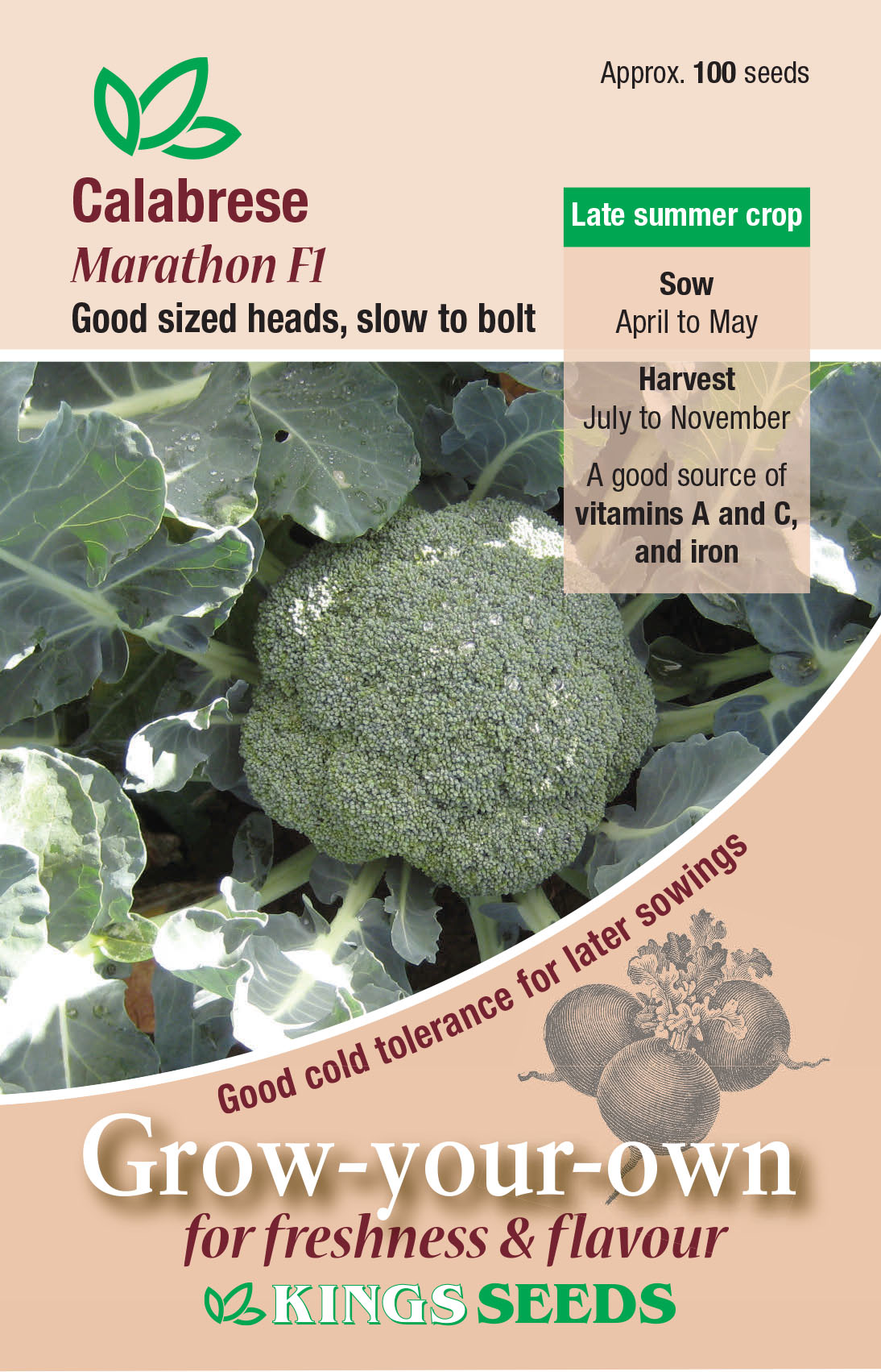 Pkt Rudbeckia Goldilocks