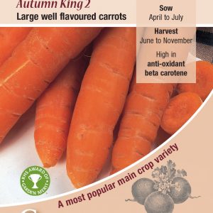 Carrot – Autumn King 2