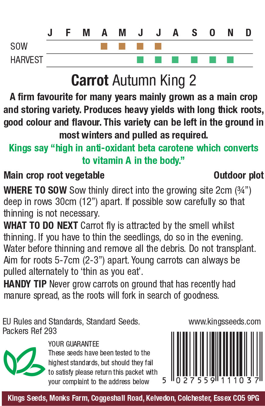 Pkt Rudbeckia Goldilocks