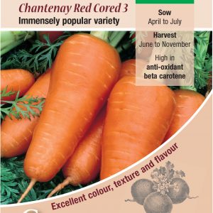 Carrot – Chantenay Red Cored 3