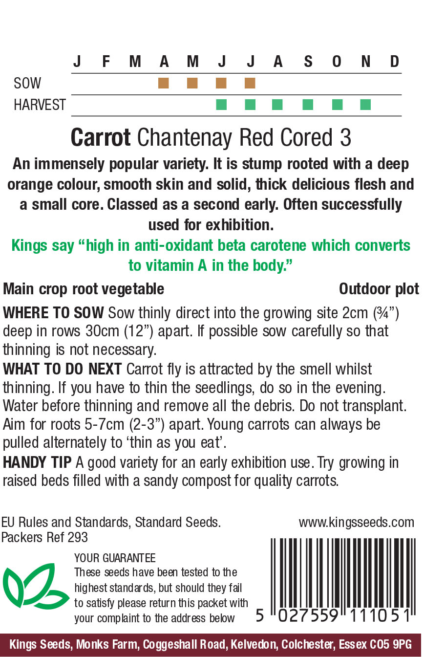 Pkt Rudbeckia Goldilocks