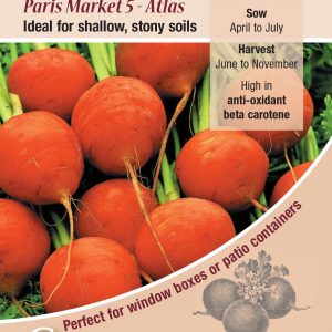 Carrot – Paris Market 5 – Atlas