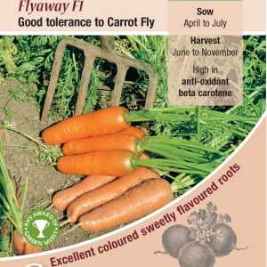 Carrot Flyaway F1