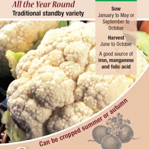 Cauliflower – All The Year Round
