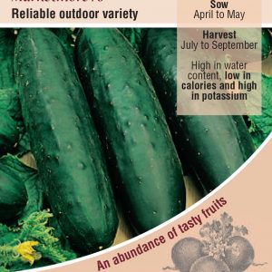 Cucumber – Marketmore 76
