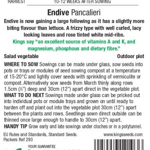 Endive – Pancalieri