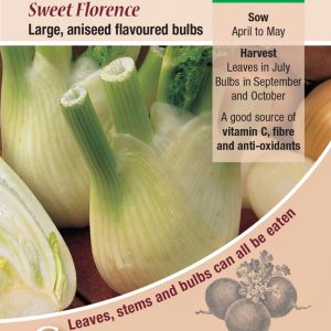 Fennel – Sweet Florence (Feoniculum vulgare Mill)