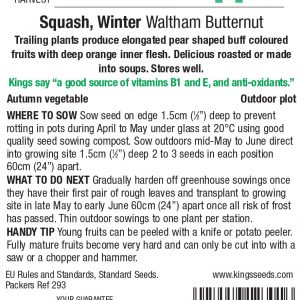 Winter Squash Waltham Butternut