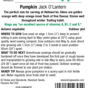 Pumpkin – Jack O’Lantern