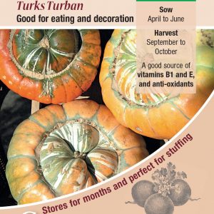 Winter Squash – Turks Turban (Cucubita pepo)