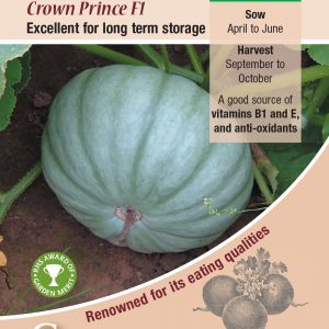 Squash – Crown Prince F1