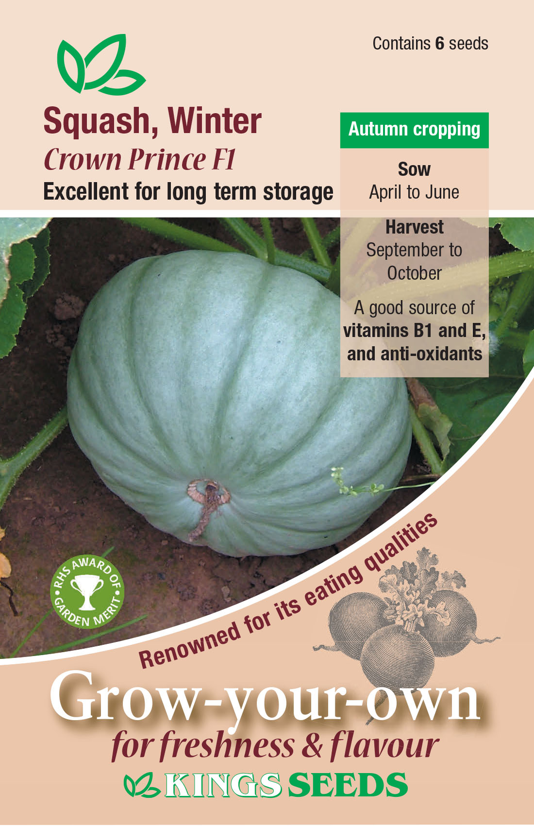 Pkt Rudbeckia Goldilocks