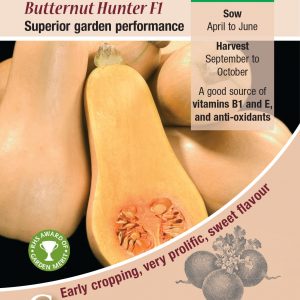 Winter Squash – Butternut Hunter F1