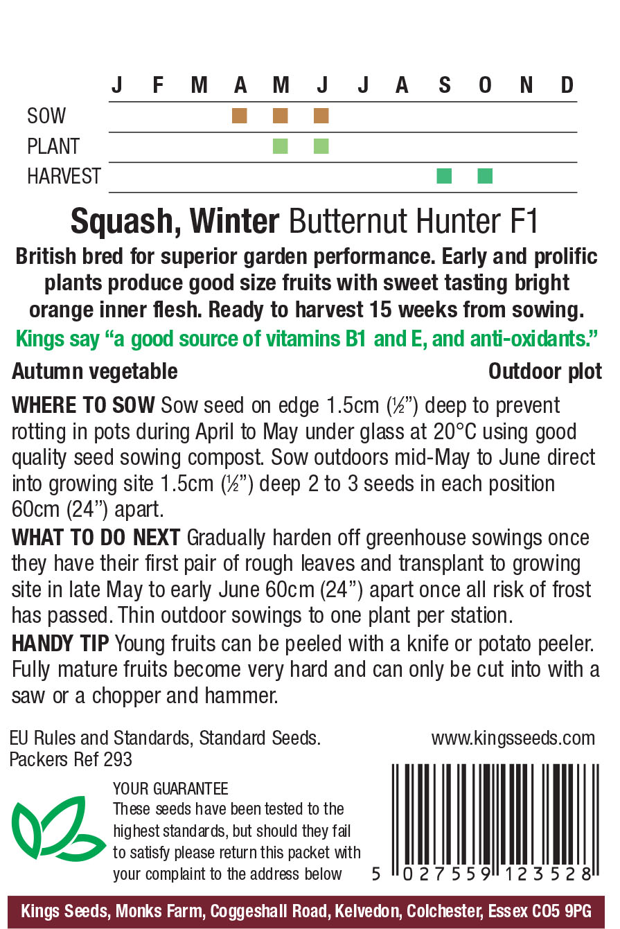 Pkt Rudbeckia Goldilocks