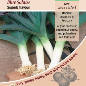 Leek Blue Solaise – 225 Seeds (Av.)
