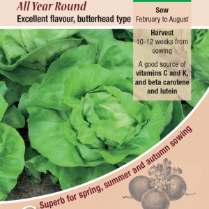 Lettuce – All The Year Round