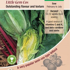 Lettuce Little Gem – Cos
