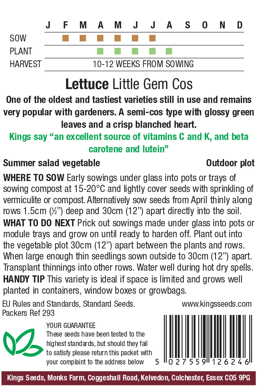 Pkt Rudbeckia Goldilocks