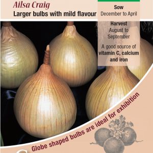 Onion – Ailsa Craig