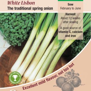 Onion – White Lisbon