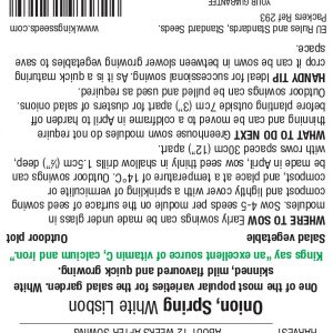 Onion – White Lisbon