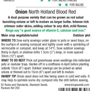 Onion  – North Holland Blood Red