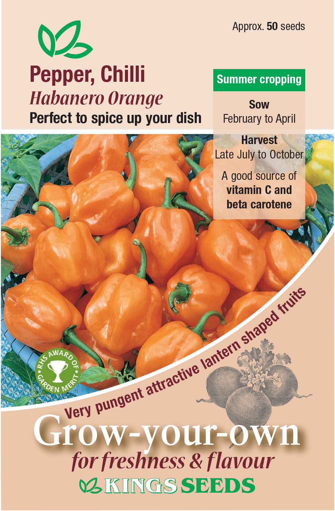 Pkt Rudbeckia Goldilocks