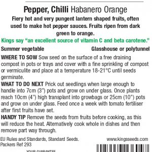 Chilli Pepper – Habanero Orange
