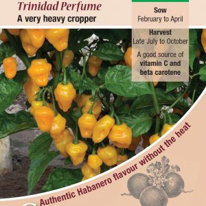 Chilli Pepper – Trinidad Perfume
