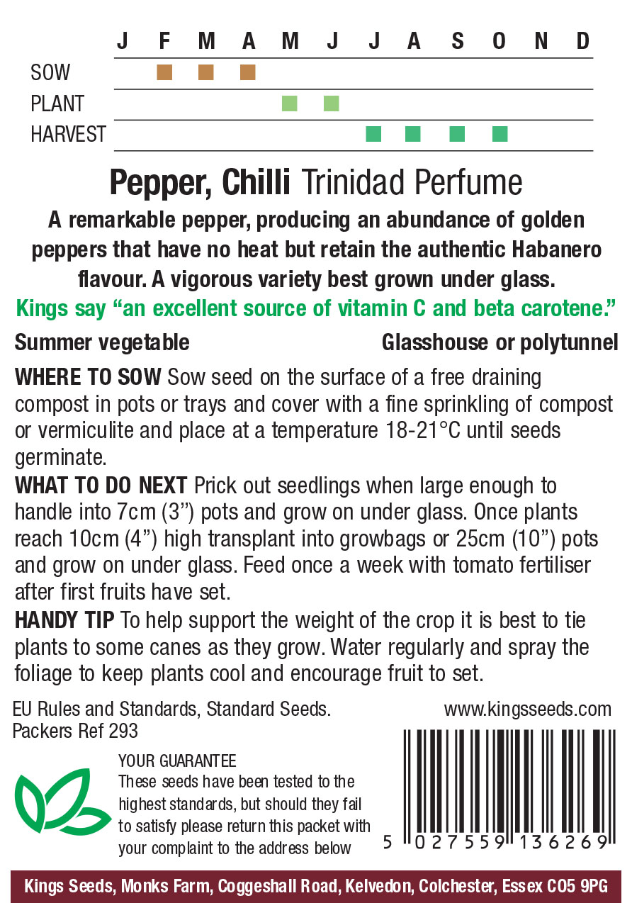 Pkt Rudbeckia Goldilocks