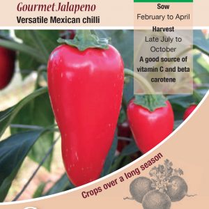 Chilli Pepper – Gourmet Jalapeno