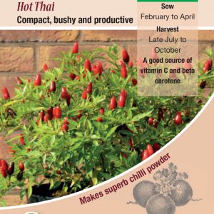 Chilli Pepper – Hot Thai