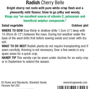 Radish – Cherry Belle