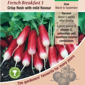 Radish – French Breakfast 3