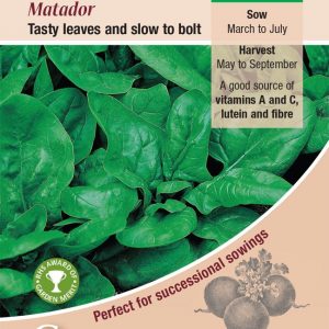 Spinach – Matador