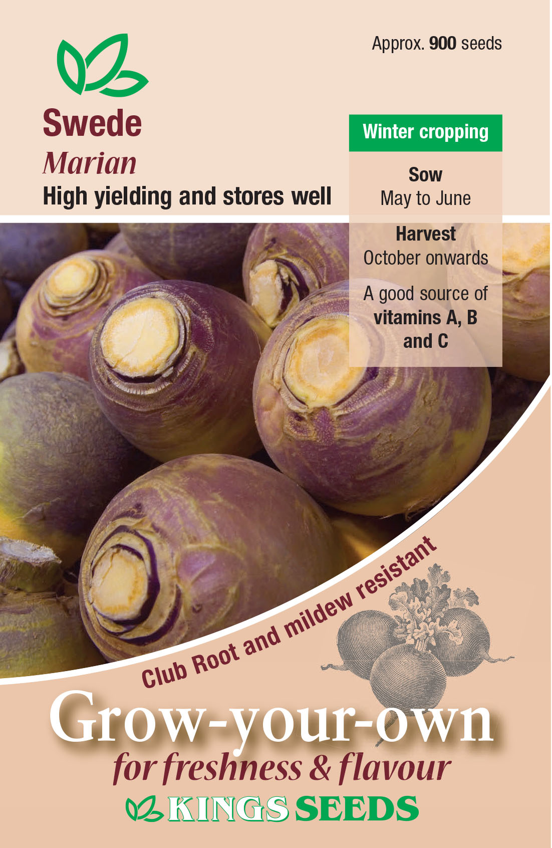 Pkt Rudbeckia Goldilocks